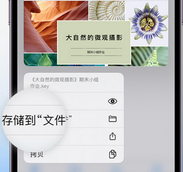 大洼apple维修中心分享iPhone文件应用中存储和找到下载文件