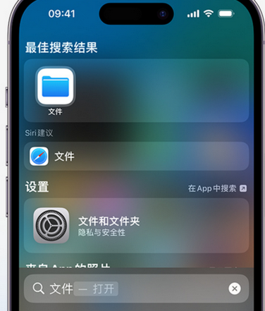 大洼apple维修中心分享iPhone文件应用中存储和找到下载文件