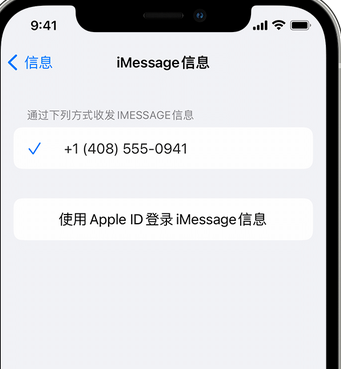 大洼apple维修iPhone上无法正常发送iMessage信息 