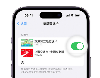 大洼apple维修点分享iPhone上更换Apple Pay快捷交通卡手绘卡面 