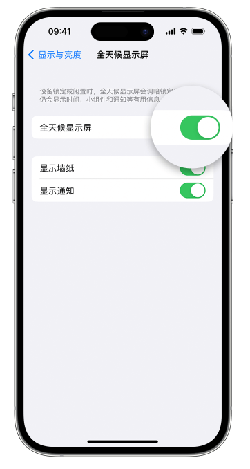 大洼苹果14维修店分享如何自定义 iPhone 14 Pro 常亮显示屏 