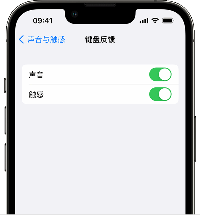 大洼苹果14维修店分享如何在 iPhone 14 机型中使用触感键盘 