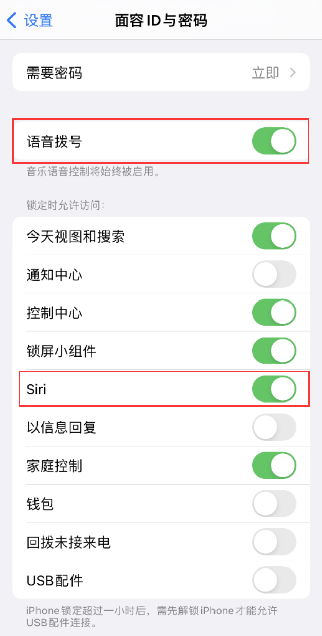 大洼苹果维修网点分享不解锁 iPhone 的情况下通过 Siri 拨打电话的方法 