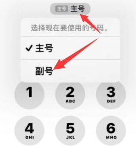 大洼苹果14维修店分享iPhone 14 Pro Max使用副卡打电话的方法 