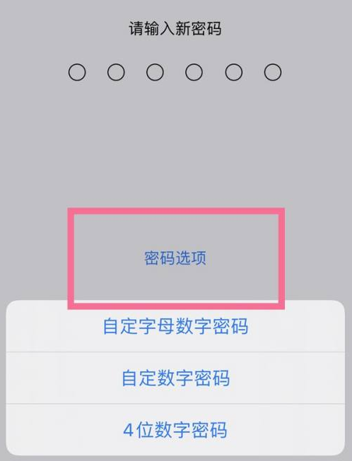 大洼苹果14维修分享iPhone 14plus设置密码的方法 