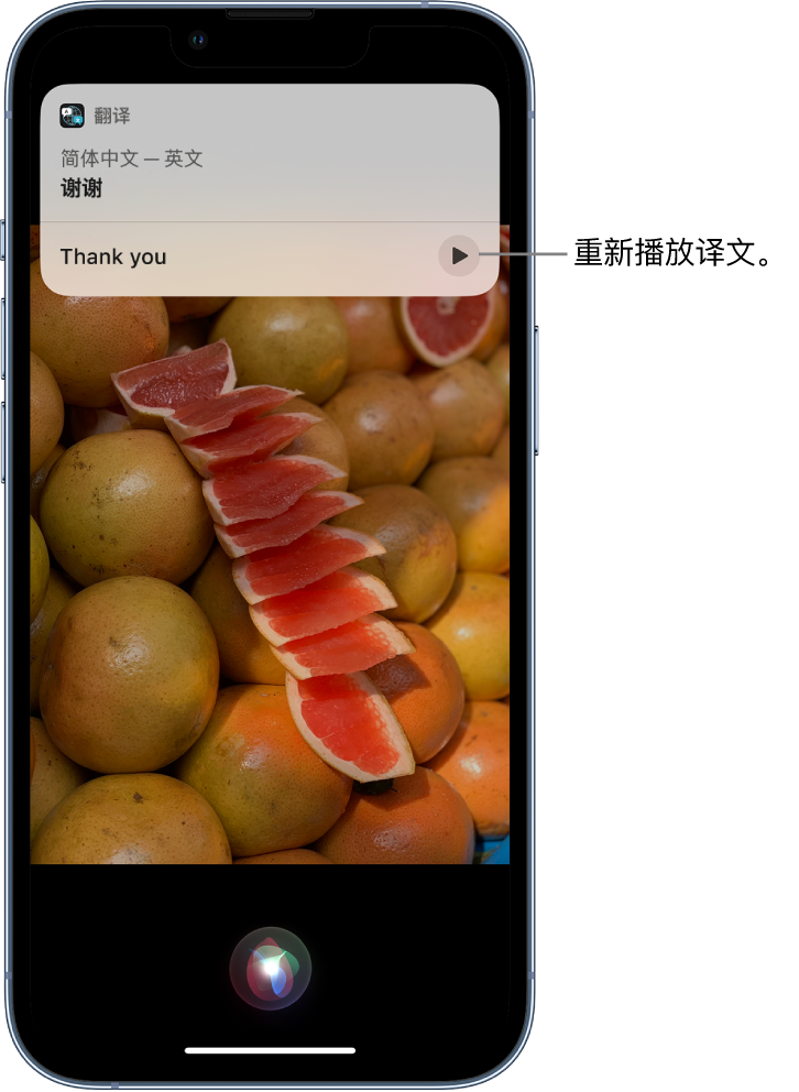 大洼苹果14维修分享 iPhone 14 机型中使用 Siri：了解 Siri 能帮你做什么 