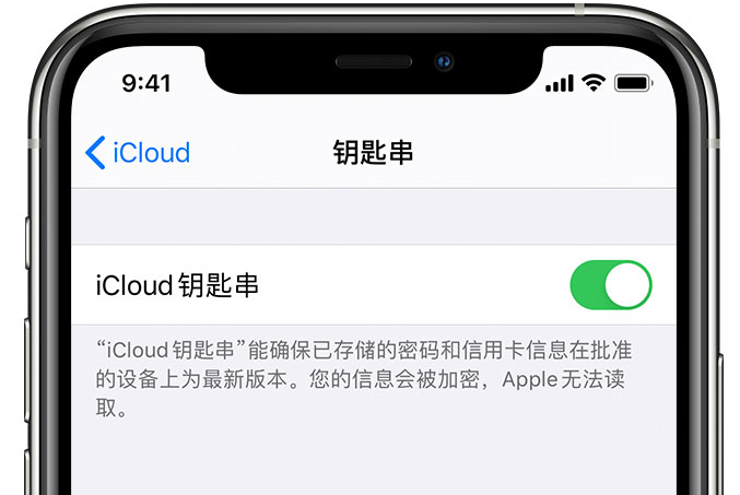 大洼苹果手机维修分享在 iPhone 上开启 iCloud 钥匙串之后会储存哪些信息 