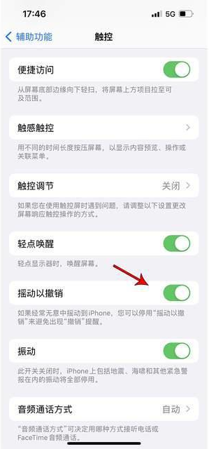 大洼苹果手机维修分享iPhone手机如何设置摇一摇删除文字 